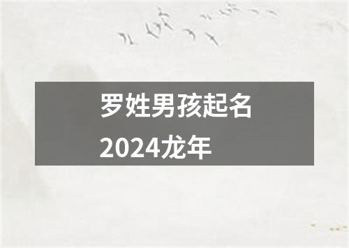 罗姓男孩起名2024龙年