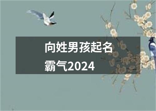 向姓男孩起名霸气2024