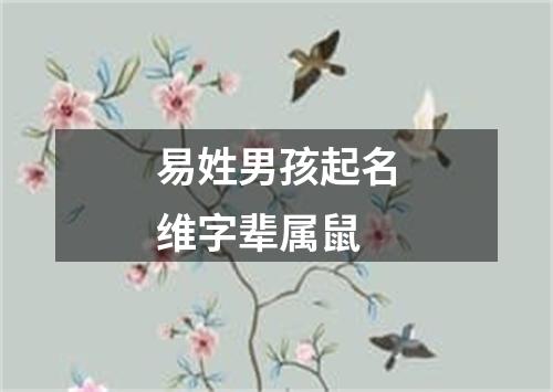 易姓男孩起名维字辈属鼠