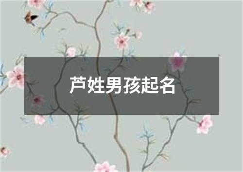 芦姓男孩起名