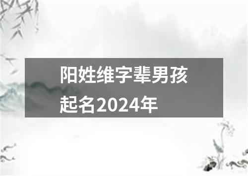 阳姓维字辈男孩起名2024年