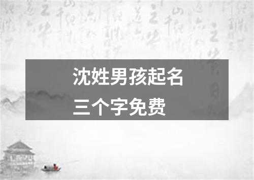 沈姓男孩起名三个字免费