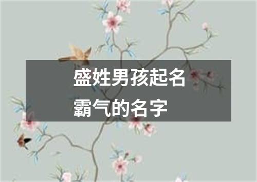 盛姓男孩起名霸气的名字