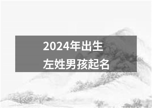 2024年出生左姓男孩起名