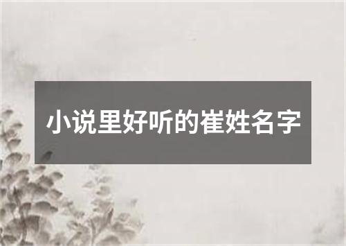 小说里好听的崔姓名字