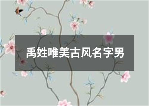 禹姓唯美古风名字男