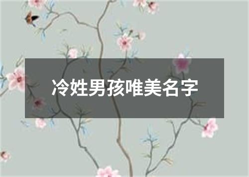 冷姓男孩唯美名字