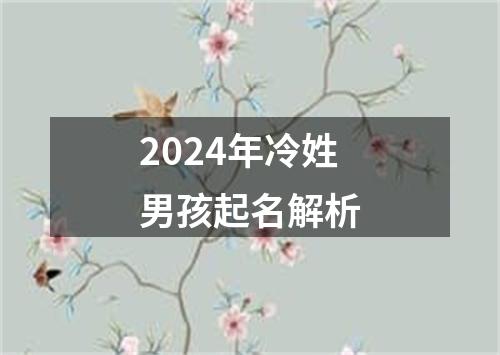 2024年冷姓男孩起名解析