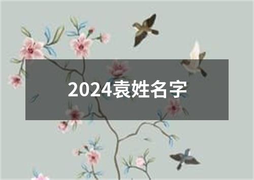 2024袁姓名字