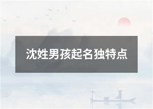 沈姓男孩起名独特点