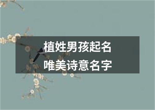 植姓男孩起名唯美诗意名字