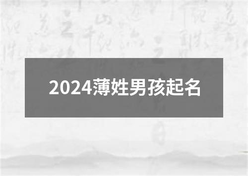 2024薄姓男孩起名