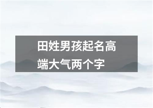 田姓男孩起名高端大气两个字