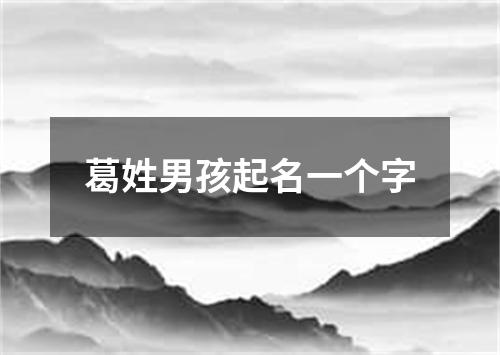 葛姓男孩起名一个字