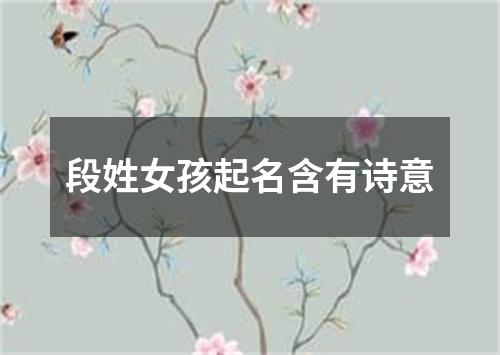 段姓女孩起名含有诗意