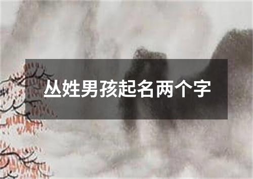 丛姓男孩起名两个字