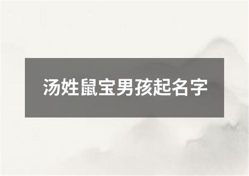 汤姓鼠宝男孩起名字