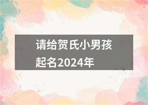 请给贺氏小男孩起名2024年