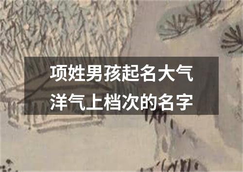 项姓男孩起名大气洋气上档次的名字