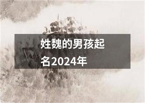 姓魏的男孩起名2024年