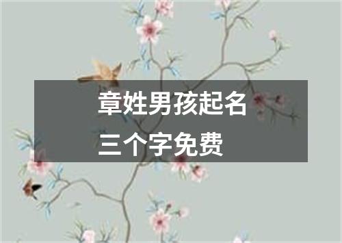 章姓男孩起名三个字免费