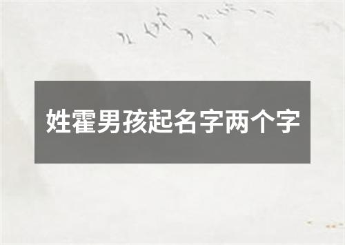 姓霍男孩起名字两个字