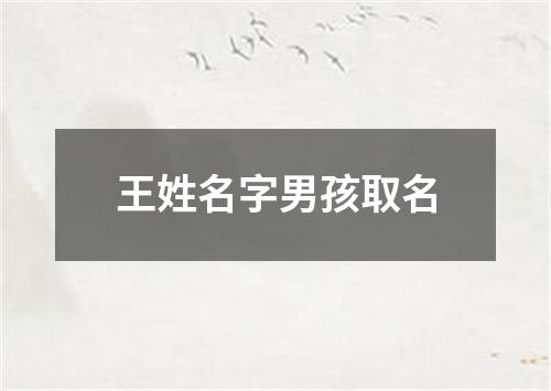 王姓名字男孩取名