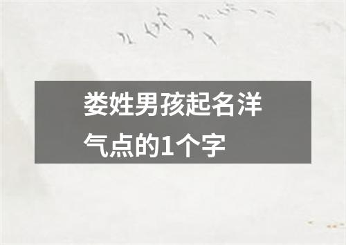 娄姓男孩起名洋气点的1个字