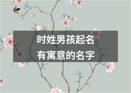 时姓男孩起名有寓意的名字