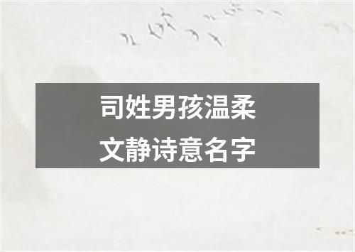 司姓男孩温柔文静诗意名字