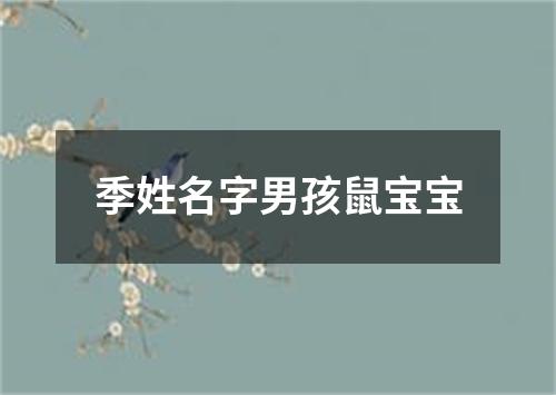 季姓名字男孩鼠宝宝