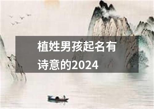 植姓男孩起名有诗意的2024