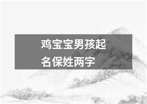 鸡宝宝男孩起名保姓两字