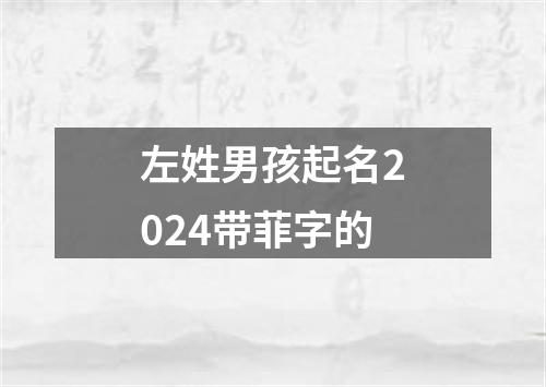 左姓男孩起名2024带菲字的