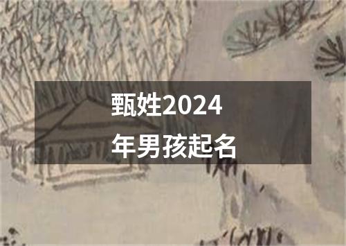 甄姓2024年男孩起名