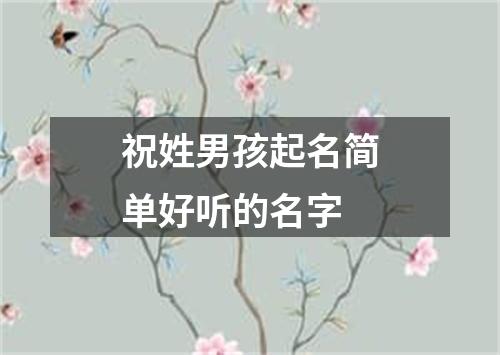 祝姓男孩起名简单好听的名字