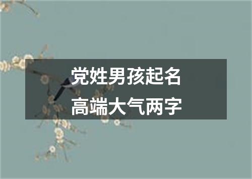 党姓男孩起名高端大气两字