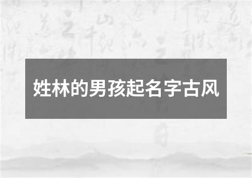 姓林的男孩起名字古风