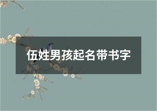 伍姓男孩起名带书字