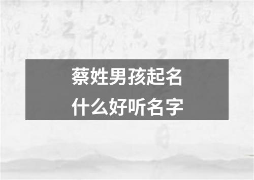 蔡姓男孩起名什么好听名字