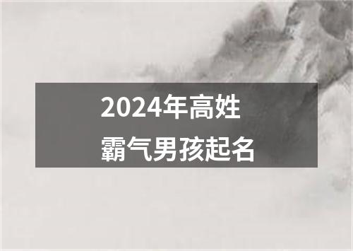 2024年高姓霸气男孩起名