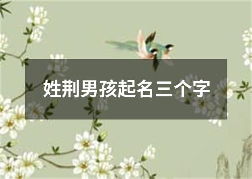 姓荆男孩起名三个字