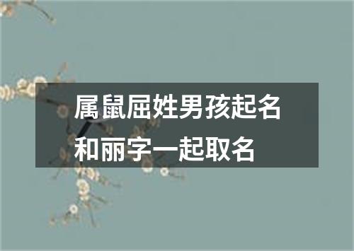 属鼠屈姓男孩起名和丽字一起取名