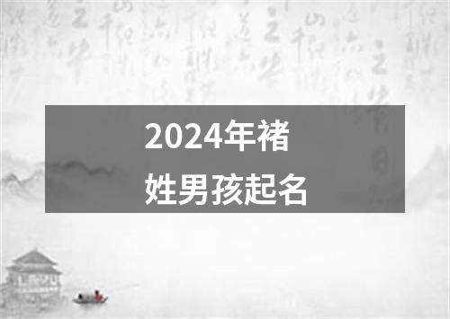 2024年褚姓男孩起名