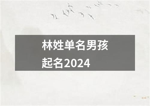 林姓单名男孩起名2024