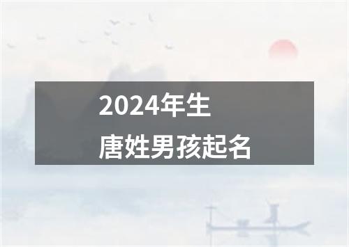 2024年生唐姓男孩起名