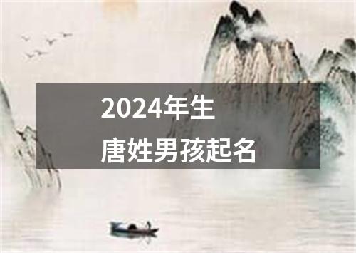 2024年生唐姓男孩起名