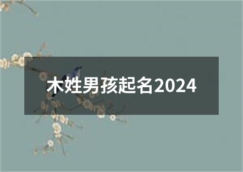 木姓男孩起名2024