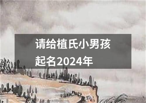 请给植氏小男孩起名2024年