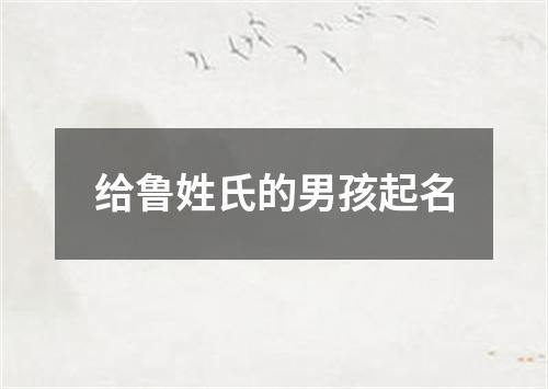 给鲁姓氏的男孩起名